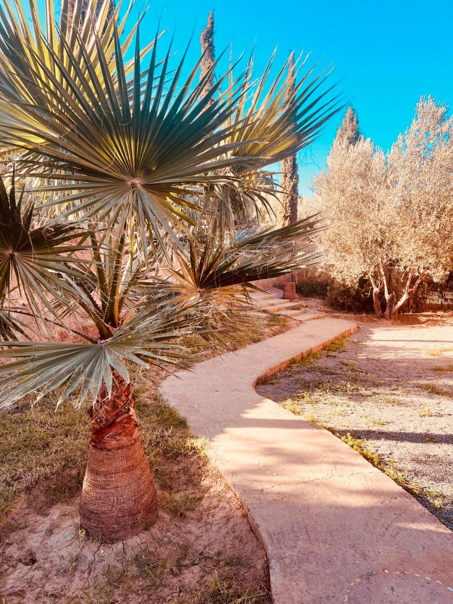 Edenatlas Chambres D'Hotes - Amizmiz Esterno foto